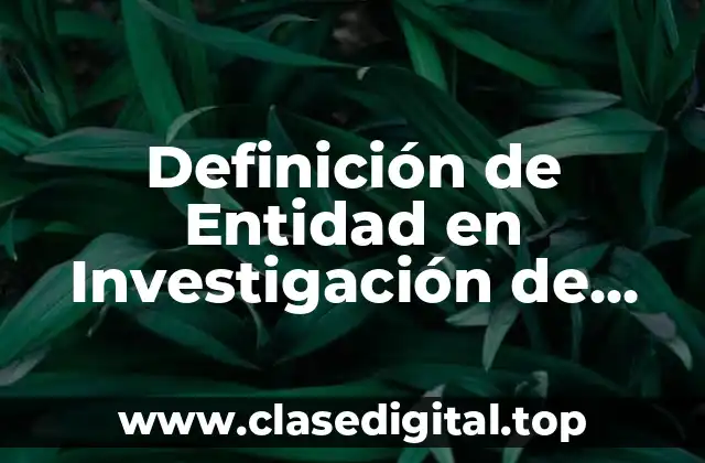 Definición de Entidad en Investigación de Operaciones