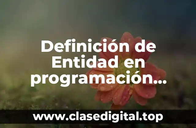 Definición de Entidad en programación orientada a objetos