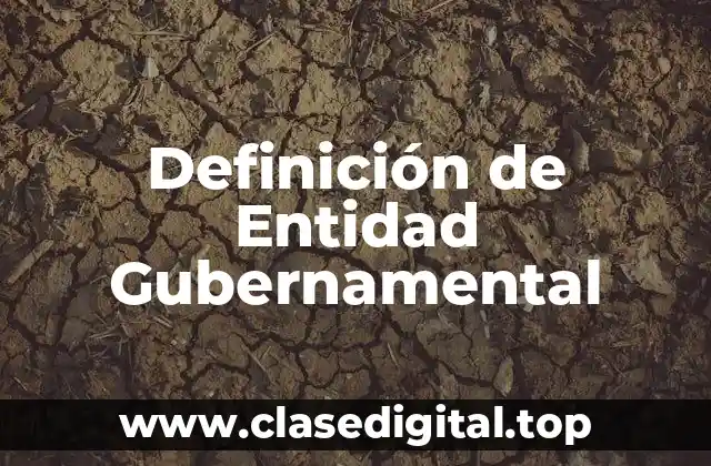 Definición de Entidad Gubernamental