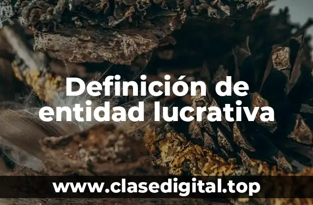 Definición de entidad lucrativa