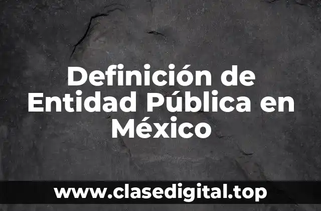 Definición de Entidad Pública en México