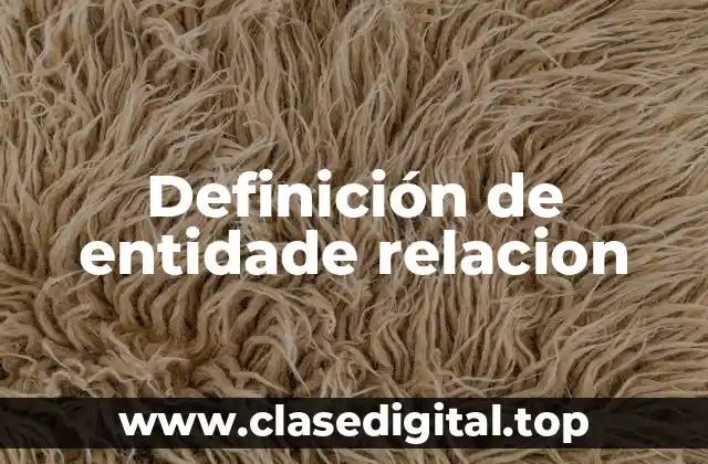 Definición de entidade relacion