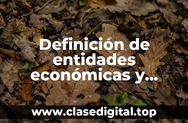 Definición de entidades económicas y sustancias de cada empresa