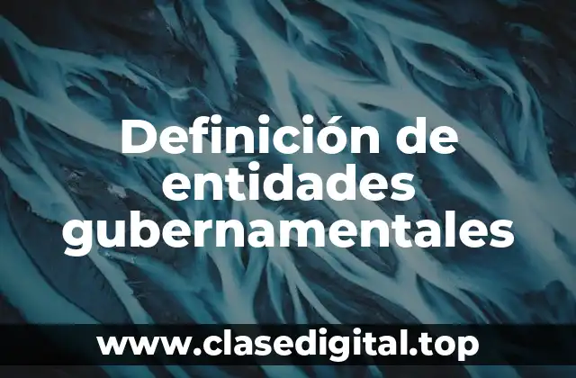Definición de entidades gubernamentales