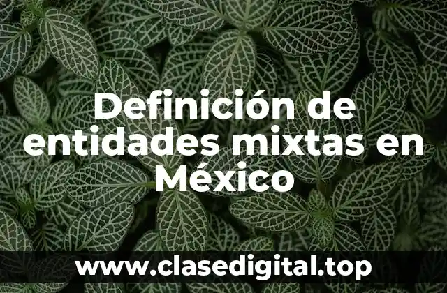 Definición de entidades mixtas en México