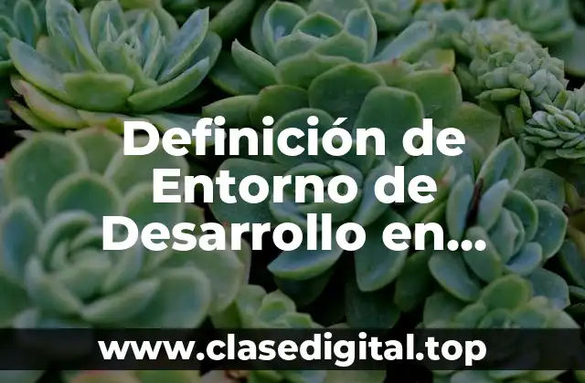Definición técnica de Entorno de Desarrollo en Informática