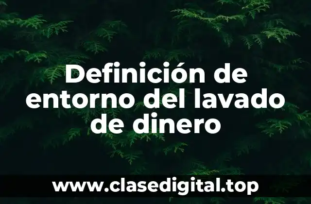 Definición de entorno del lavado de dinero