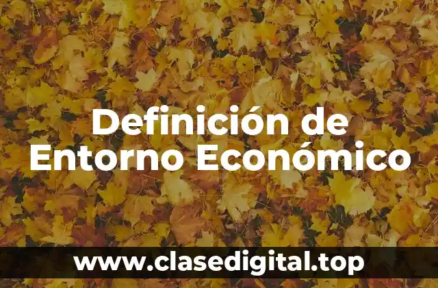 Definición Técnica de Entorno Económico