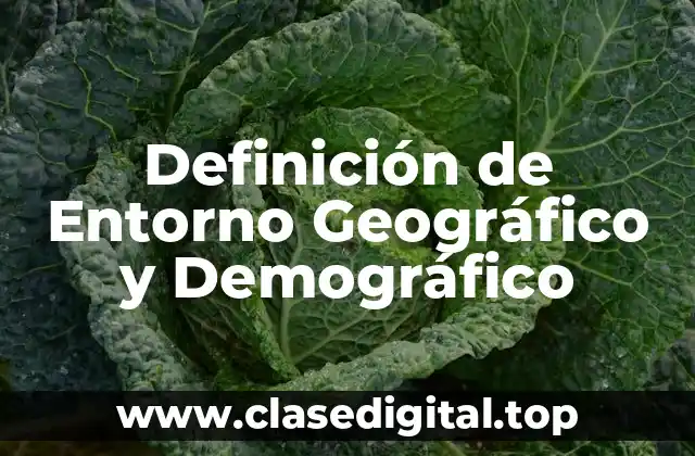 Definición de Entorno Geográfico y Demográfico