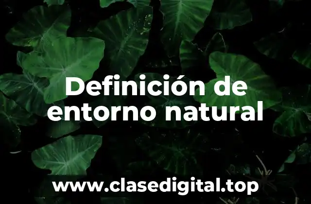 Definición de entorno natural