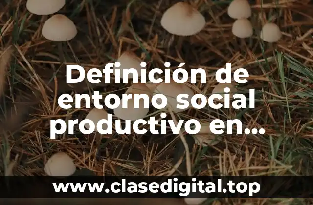 Definición de entorno social productivo en México