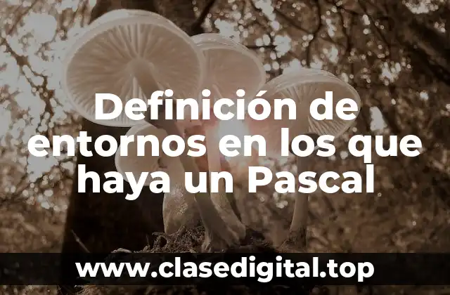 Definición de entornos en los que haya un Pascal