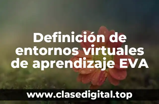 Definición de entornos virtuales de aprendizaje EVA