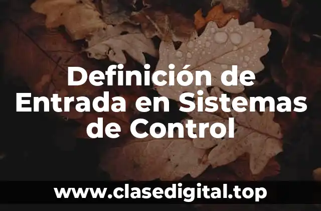 Definición de Entrada en Sistemas de Control