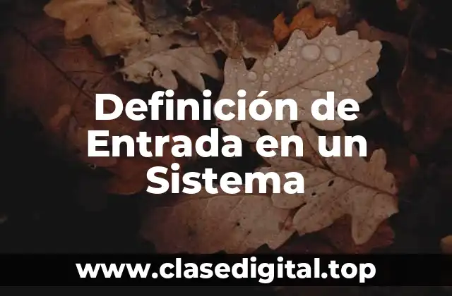 Definición de Entrada en un Sistema