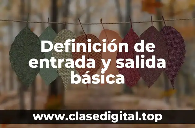 Definición de entrada y salida básica