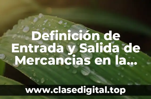 Definición de Entrada y Salida de Mercancias en la Aduana