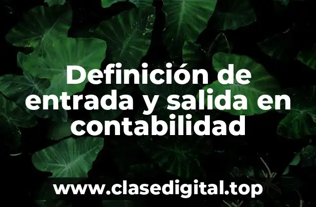 Definición de entrada y salida en contabilidad