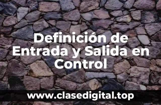 Definición de Entrada y Salida en Control