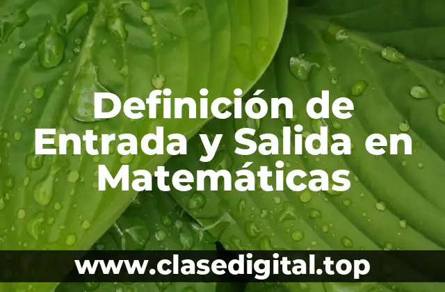 Definición de Entrada y Salida en Matemáticas