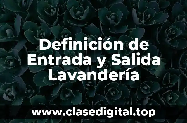 Definición de Entrada y Salida Lavandería
