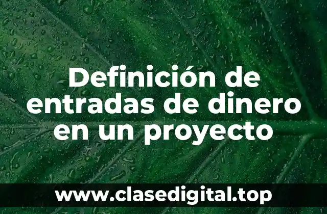 Ejemplos de entradas de dinero en un proyecto