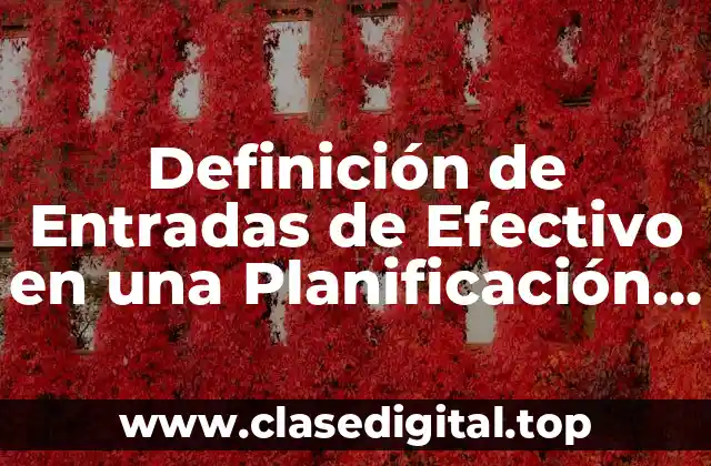 Definición de Entradas de Efectivo en una Planificación Financiera