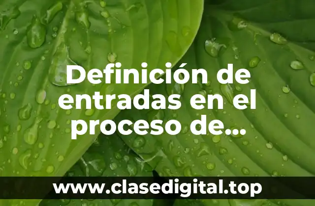 Definición de entradas en el proceso de producción