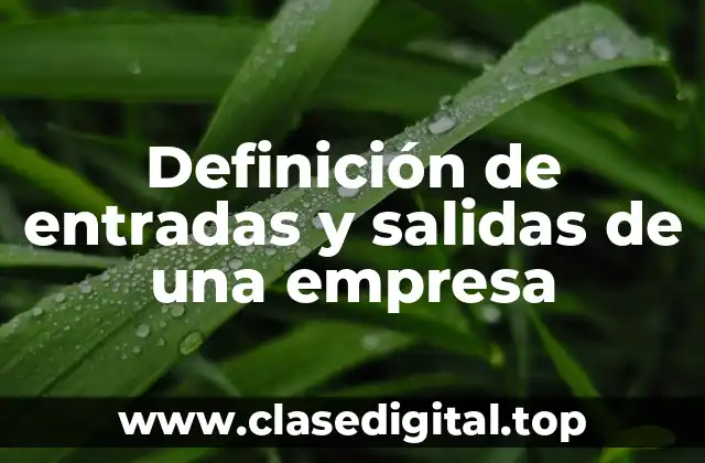 Definición de entradas y salidas de una empresa