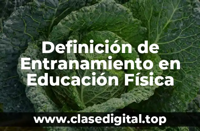 Definición de Entranamiento en Educación Física