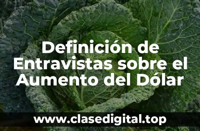 Definición de Entravistas sobre el Aumento del Dólar