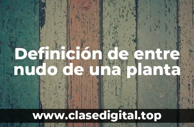 Definición de entre nudo de una planta