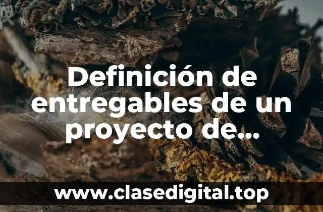 Definición de entregables de un proyecto de software