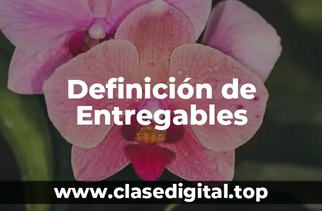 Definición de Entregables