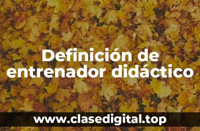 Definición de entrenador didáctico