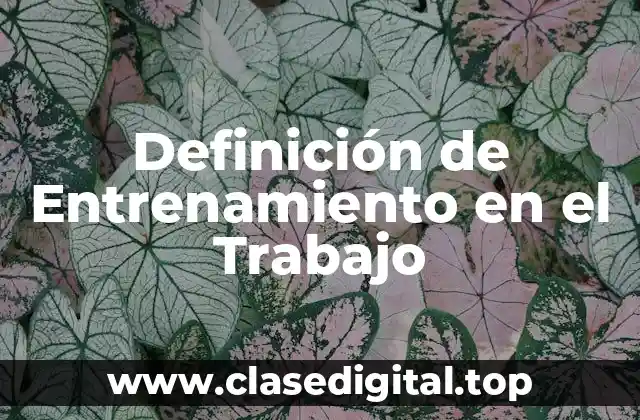 Definición de Entrenamiento en el Trabajo