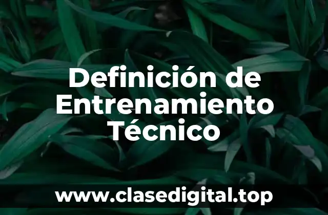 Definición de Entrenamiento Técnico
