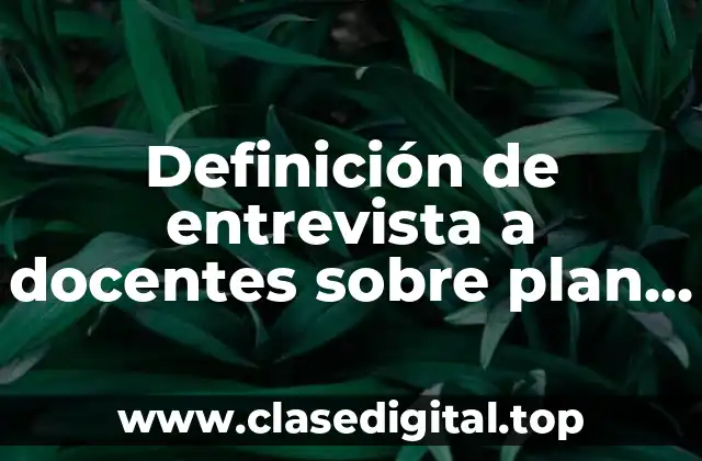 Definición de entrevista a docentes sobre plan de estudios