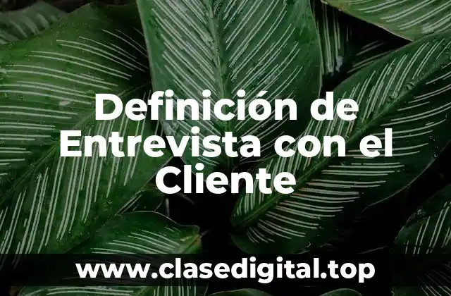 Definición de Entrevista con el Cliente