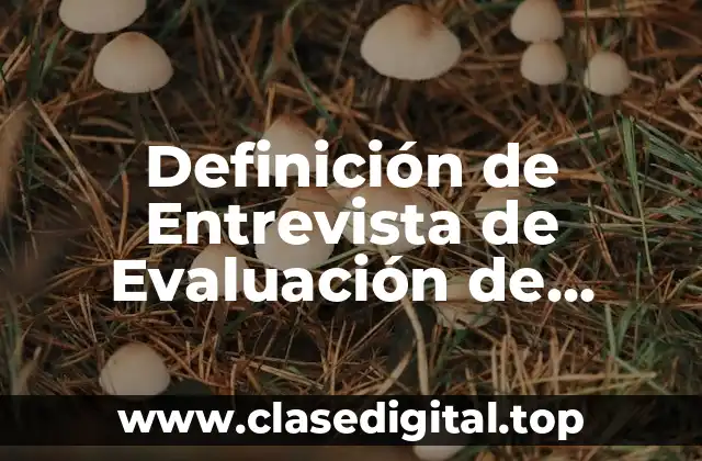 Definición de Entrevista de Evaluación de Desempeño