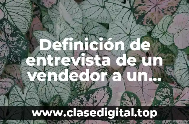 Definición de entrevista de un vendedor a un cliente