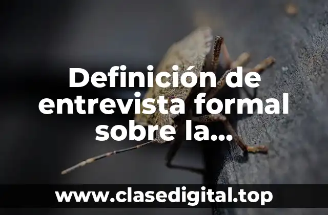 Definición de entrevista formal sobre la acumulación de basura