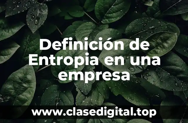 Definición de Entropia en una empresa