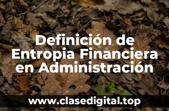 Definición de Entropia Financiera en Administración