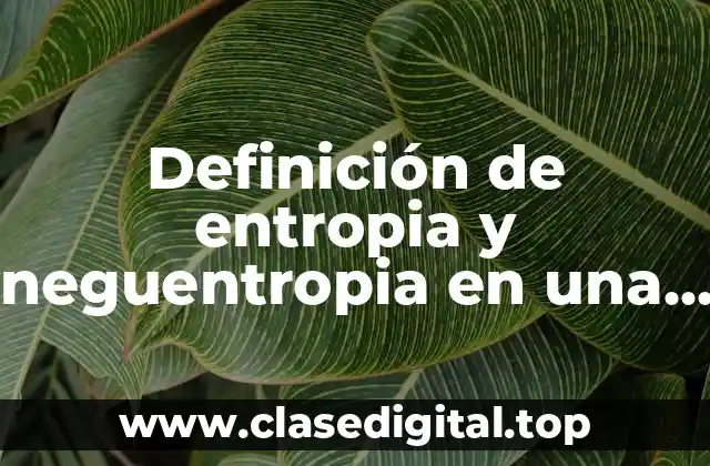 Definición de entropia y neguentropia en una empresa