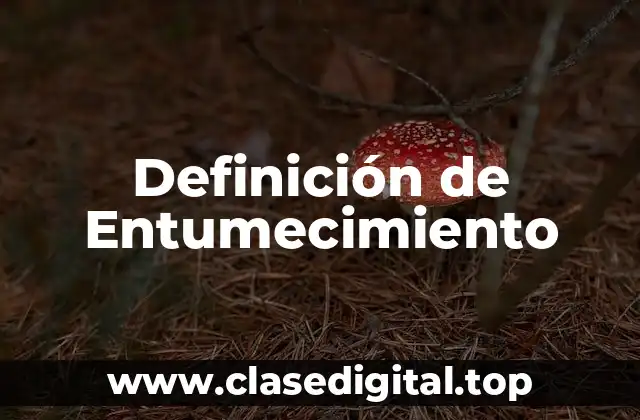 Definición de Entumecimiento