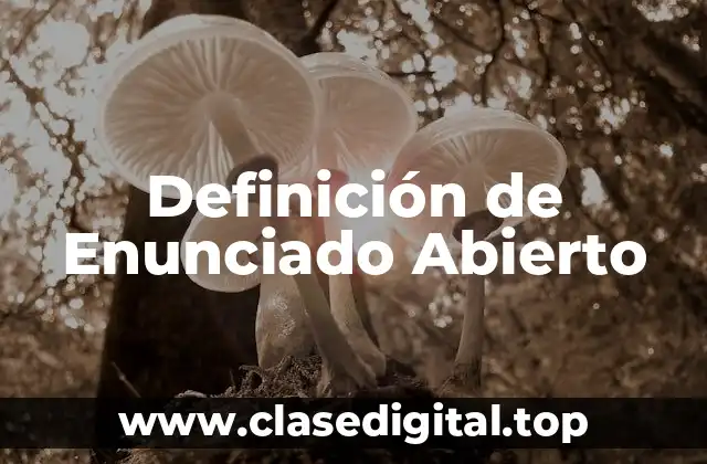 Definición de Enunciado Abierto