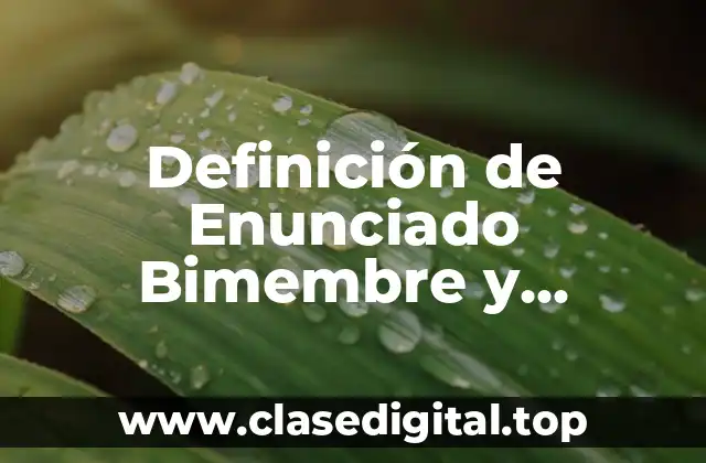 Definición de Enunciado Bimembre y Unimembre