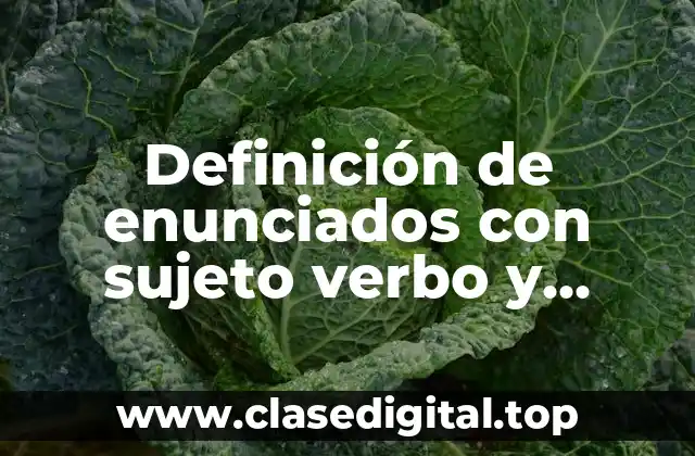 Definición de enunciados con sujeto verbo y predicado