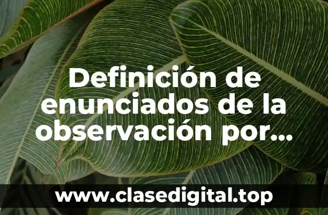 Definición de enunciados de la observación por identificación